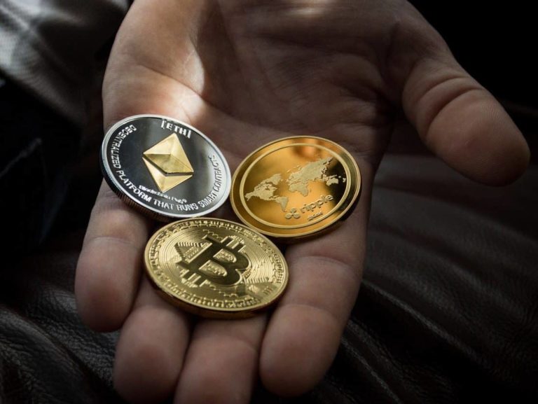 Closeup Photo of Three Round Coins in Person's Palm