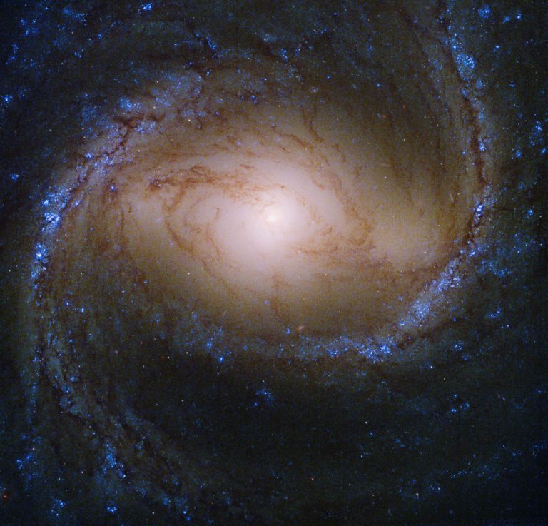 M wfc  crop v final scaled e
