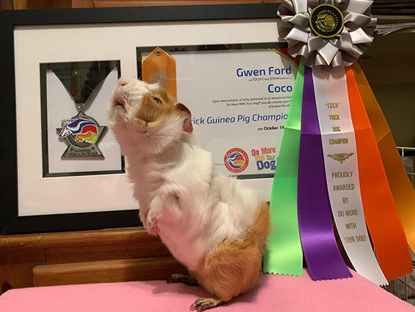 Coco posing in front of his trick certificate tcm e