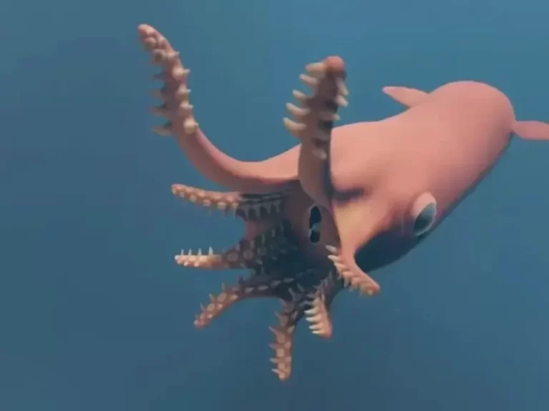 vampire squid e