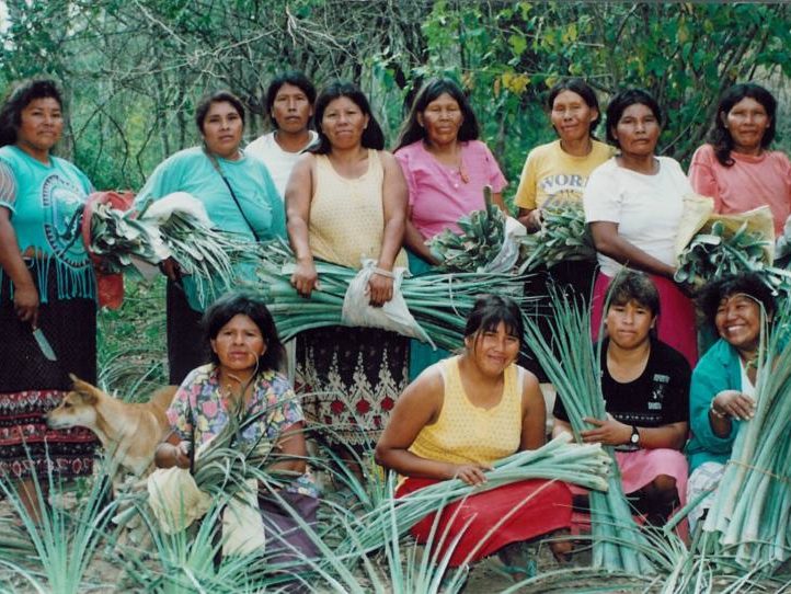 Indigenas Ayoreos e