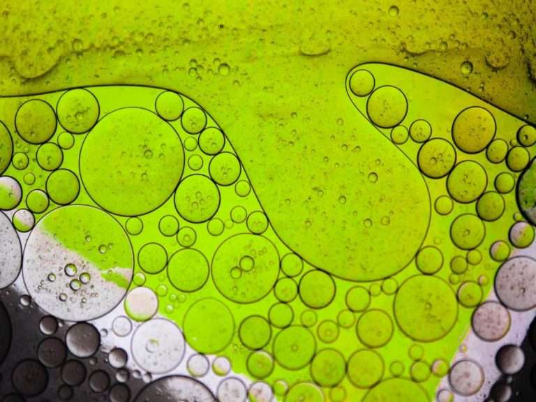 water droplets on green surface