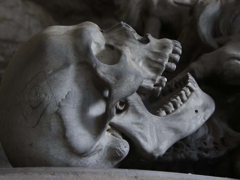 skull, graveyard, genoa