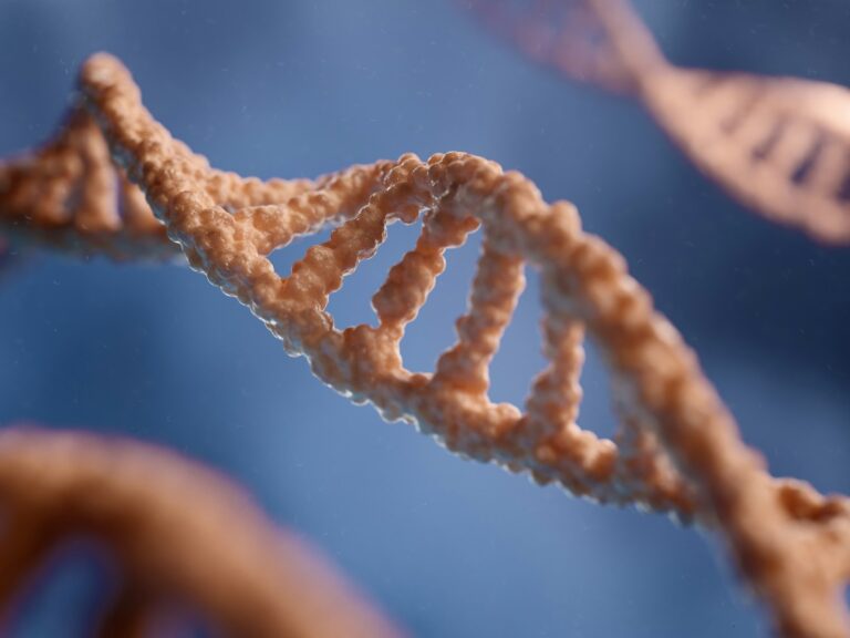 a close up of a single strand of food