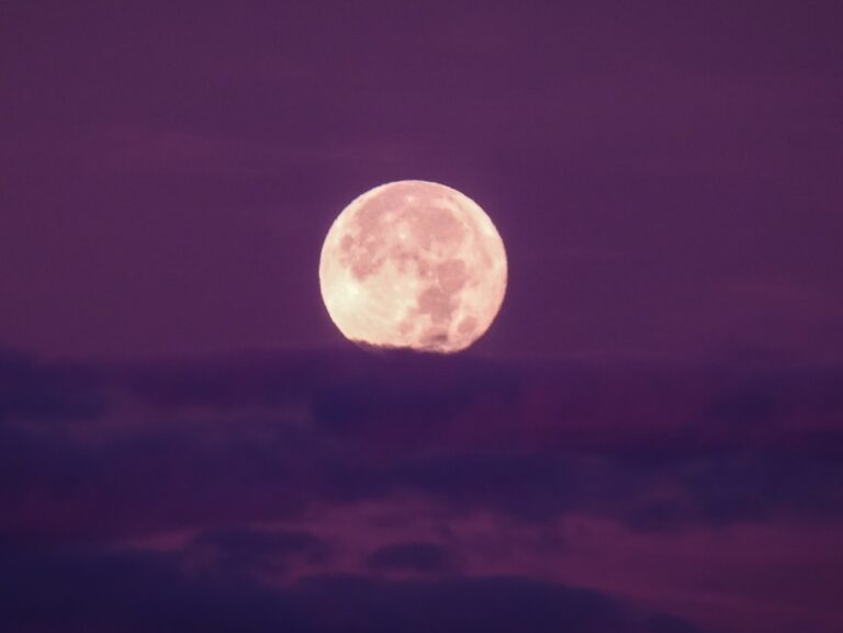 a full moon is seen in the night sky