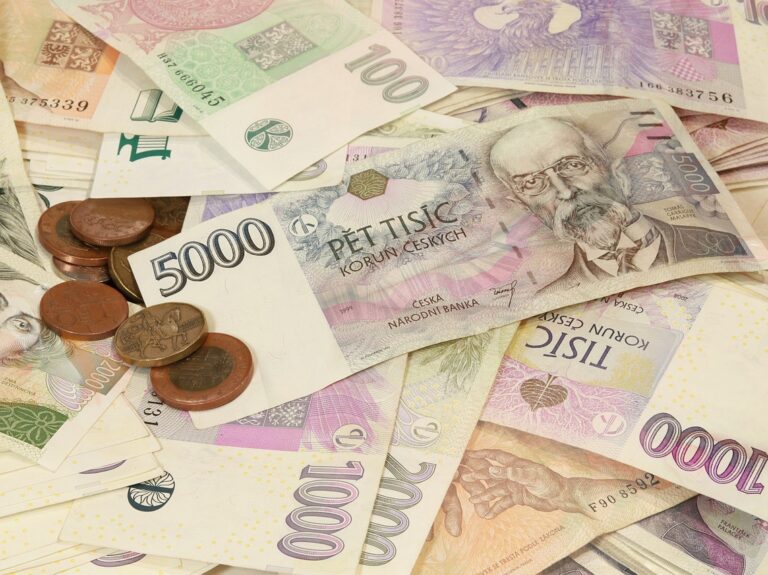 the czech crown, money, currency